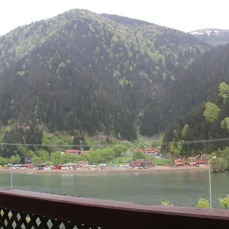 Kusva * 우준괼